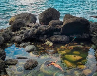 /album/fotogaleria-kombo-panama-a-jamajka/panama-san-blas-zajazd-6-jpg2/